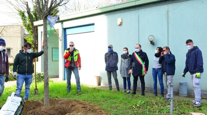 piantumazione giornata dell'albero agazzi