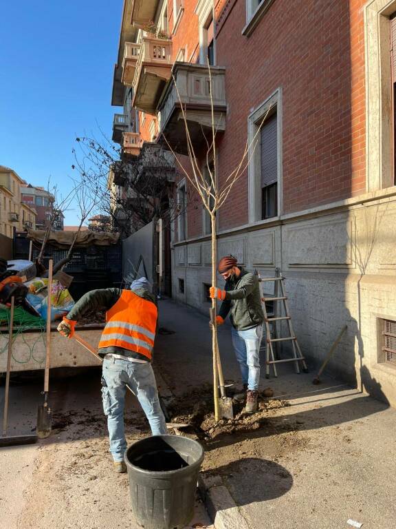 Piantumazione di 100 nuovi alberi ad Asti