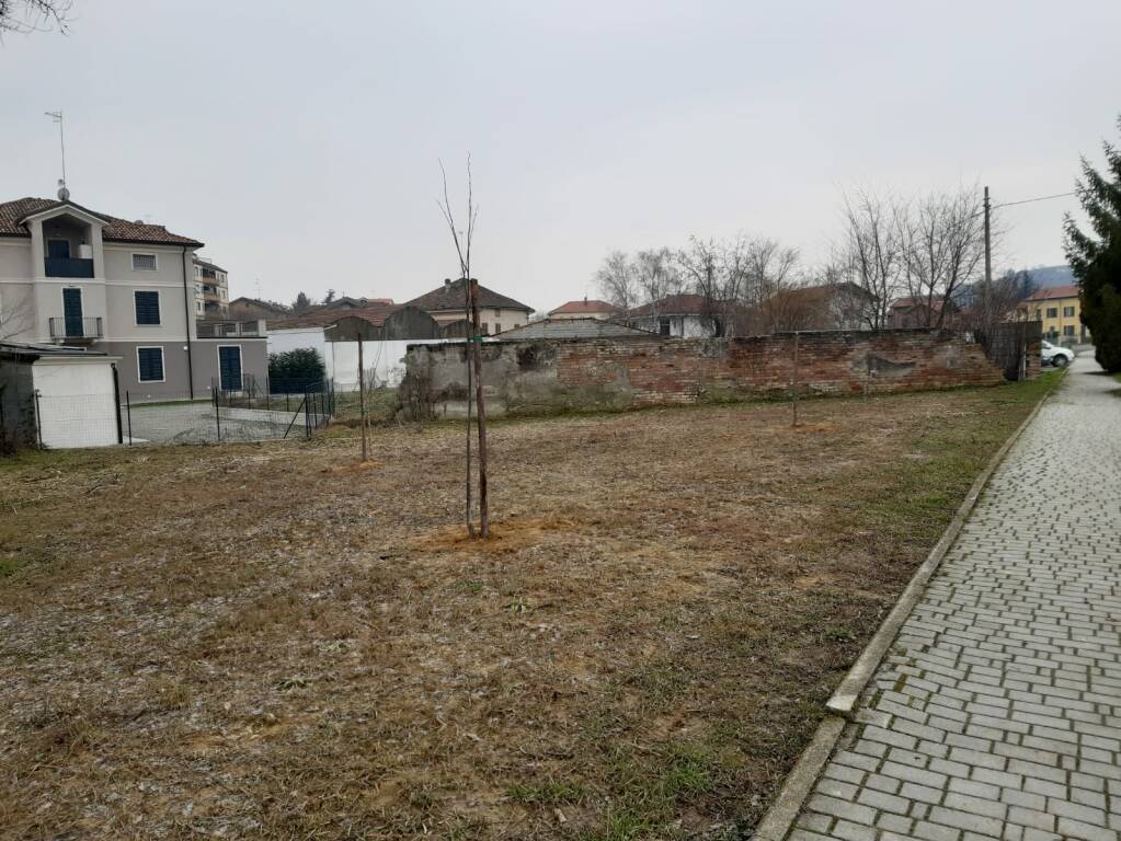 cerimonia alberi scuola media nizza monferrato