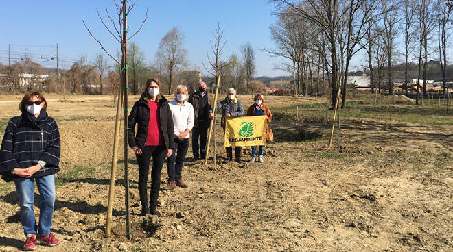 A Villafranca novantanove alberi piantati al parco delle Verne