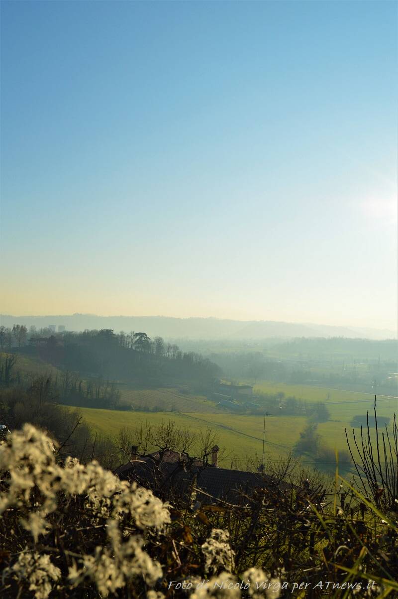 in cerca di bellezza nicolò virga