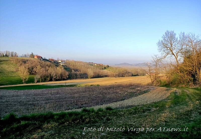 in cerca di bellezza nicolò virga