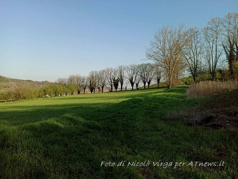 in cerca di bellezza nicolò virga