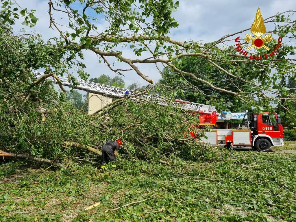 interventi vigili del fuoco penango danni maltempo