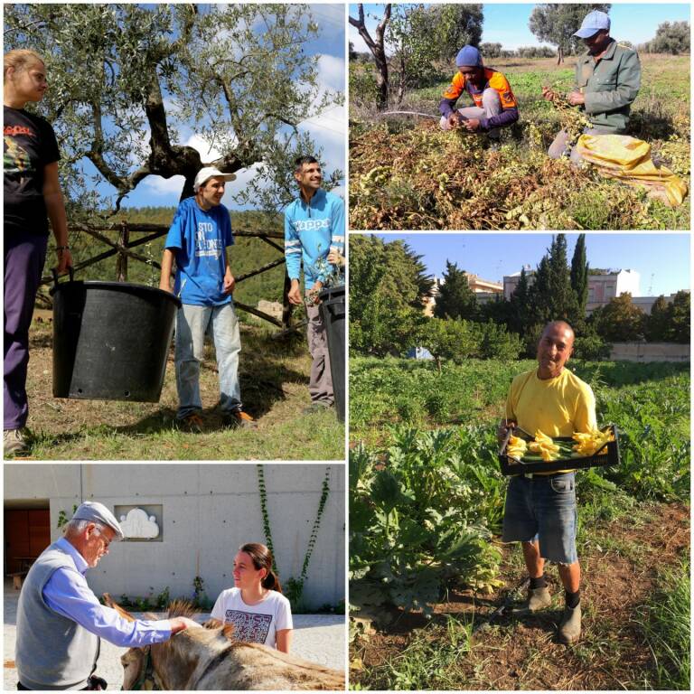 agricoltura sociale