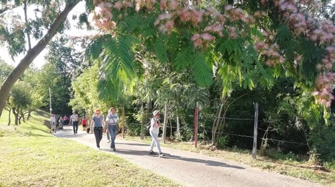 Passeggiata tra i bricchi serravallesi