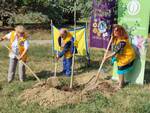 Cerimonia piantumazione 5 alberi al parco Biberach donati dal Distretto Lions 108ia3