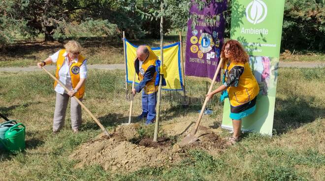 Cerimonia piantumazione 5 alberi al parco Biberach donati dal Distretto Lions 108ia3