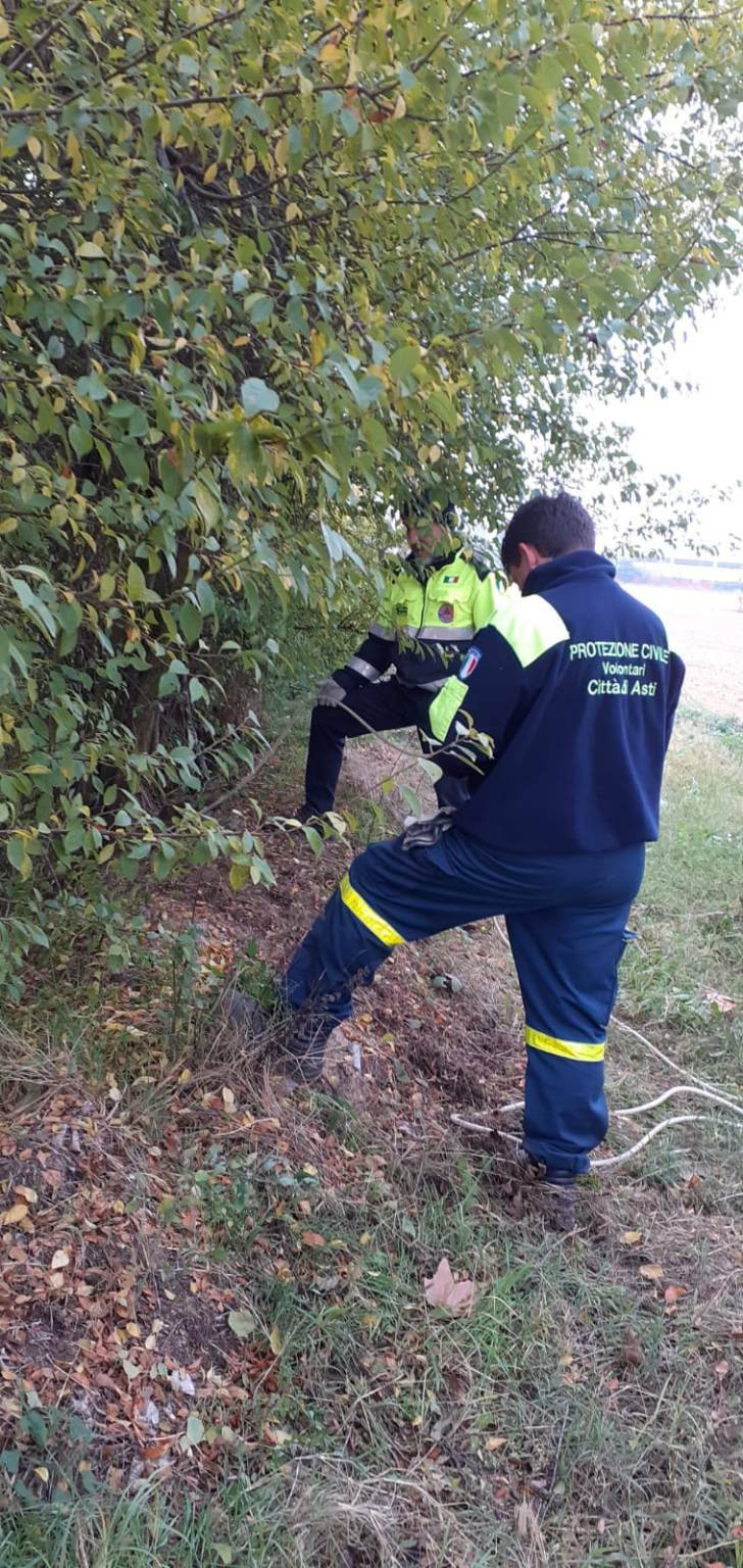 Interventi associazione volontari di Protezione civile Città di Asti 23102021