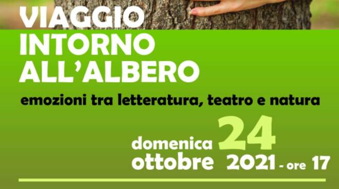 viaggio intorno all'albero