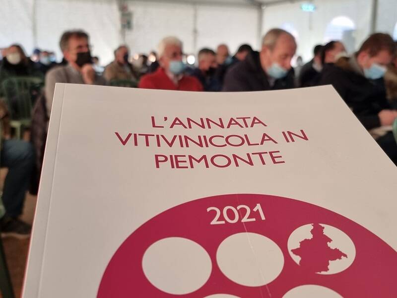 Piemonte Anterprima Vendemmia