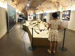 linda museo fossili asti