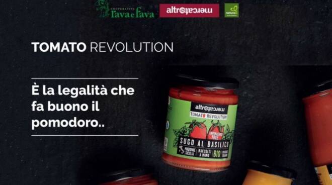 tomato revolution rava fava