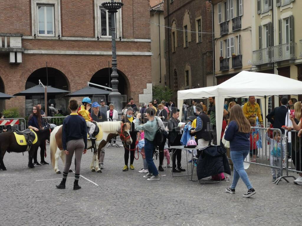 di pony in palio 