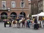 di pony in palio 