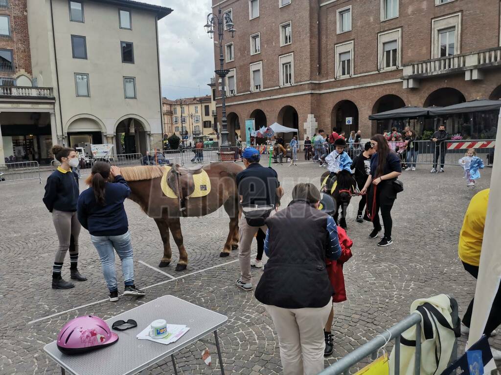 di pony in palio 