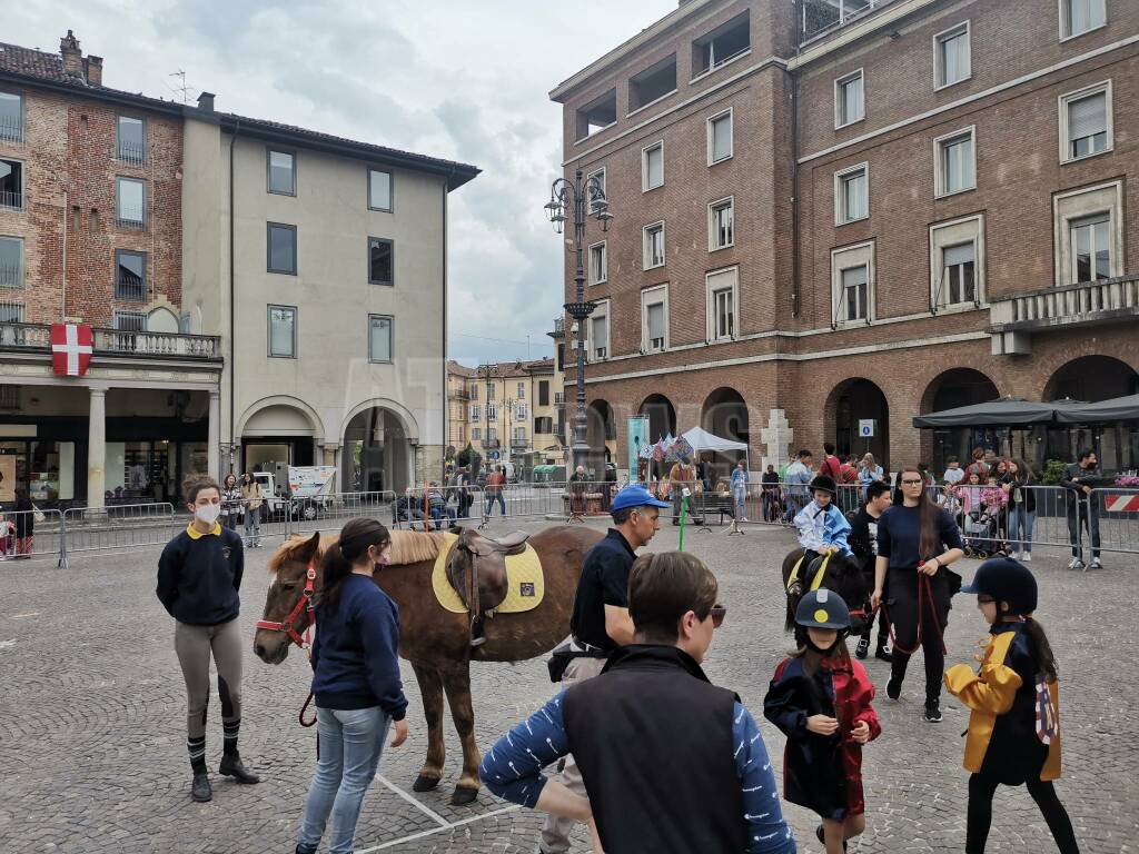 di pony in palio 