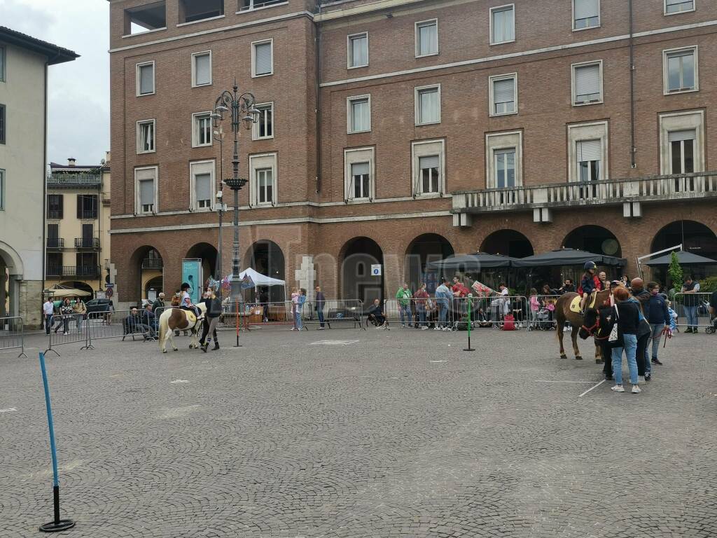 di pony in palio 