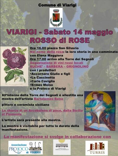 rosso di rose viarigi