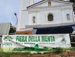 Profumata Menta 2022