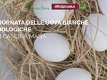 uova bianche bio 