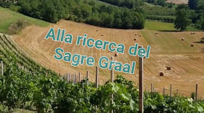 Sagre graal