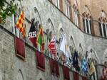 palio siena