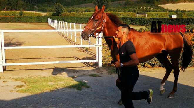 Visite veterinarie Palio di Asti 2022