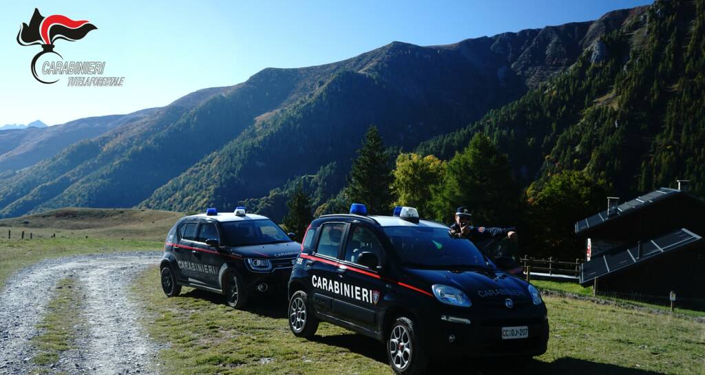 operazione sabaudus carabinieri forestali cuneo