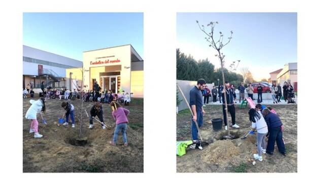 alberi infanzia baldichieri