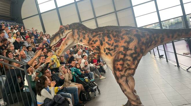 dinosaur live show lumiere