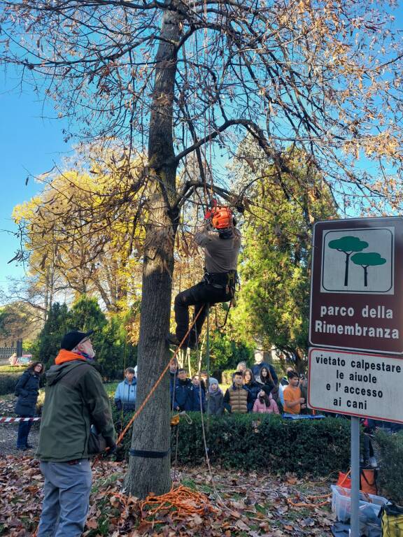 26 novembre Festa dell’Albero 2022 a Villanova d’Asti : Alberi per tutti gli usi”