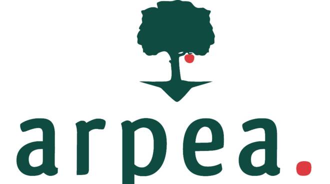 arpea logo