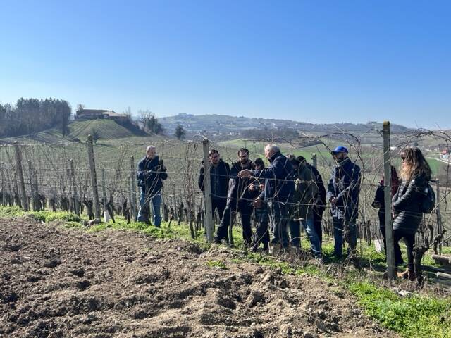 festa potatura castagnole lanze