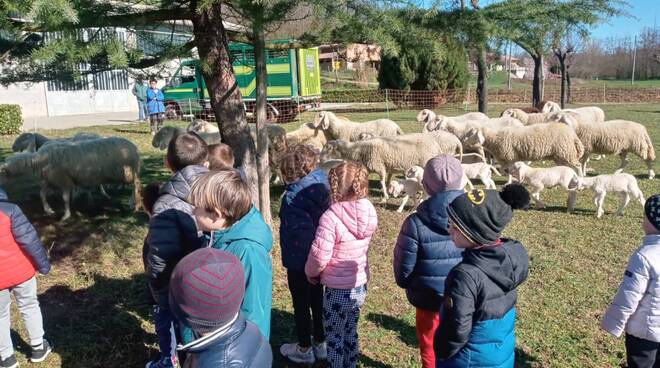 gregge castelnuovo belbo