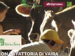 rava fava per fattoria vaira