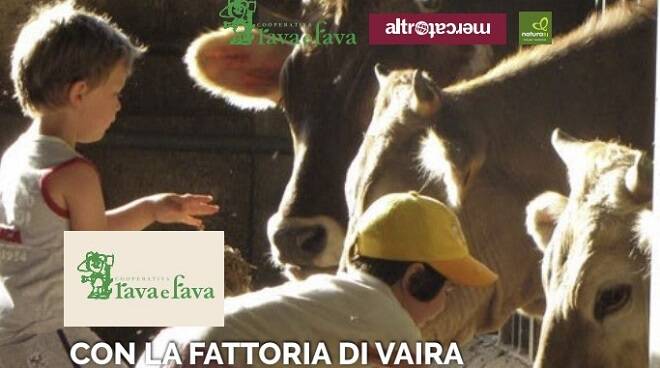 rava fava per fattoria vaira