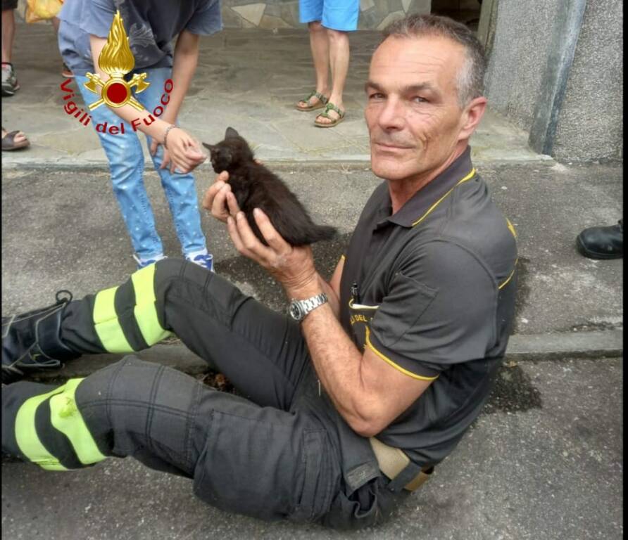 gattino intrappolato in torretta