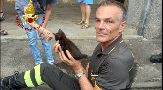 gattino intrappolato in torretta