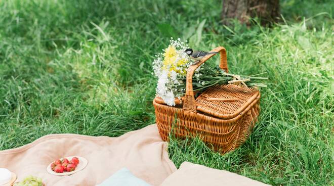 pic nic https://it.depositphotos.com/