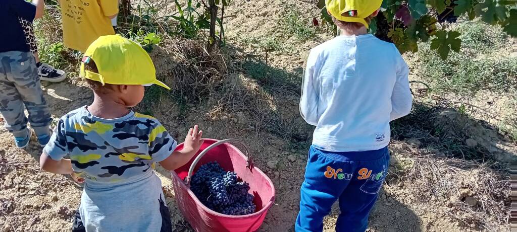 Castelnuovo Belbo attività didattica 