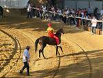 Prove del venerdì Palio di Asti 2023