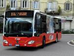 bus cimitero asti