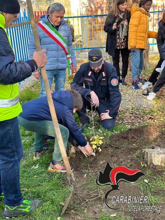 Giornata Nazionale dell’Albero carabinieri forestali