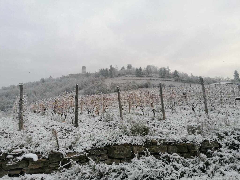 neve langa astigiana