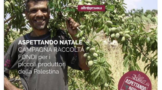 produttori palestinesi rava fava