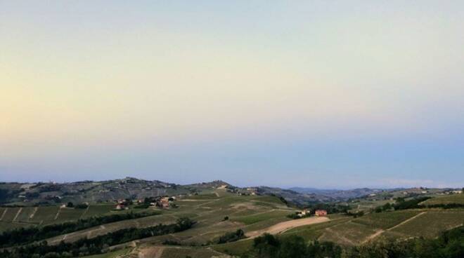 Langhe Foto di Franz Republic su Unsplash