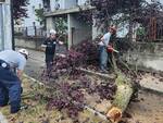 maltempo protezione civile