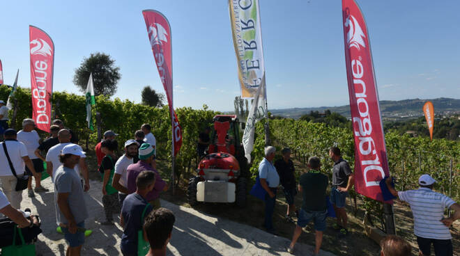 prove in vigneto confagricoltura cuneo