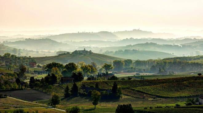 monferrato foto ab comunicazione consorzio barbera